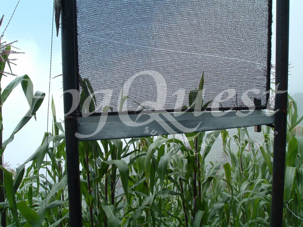 FogQuest image 005