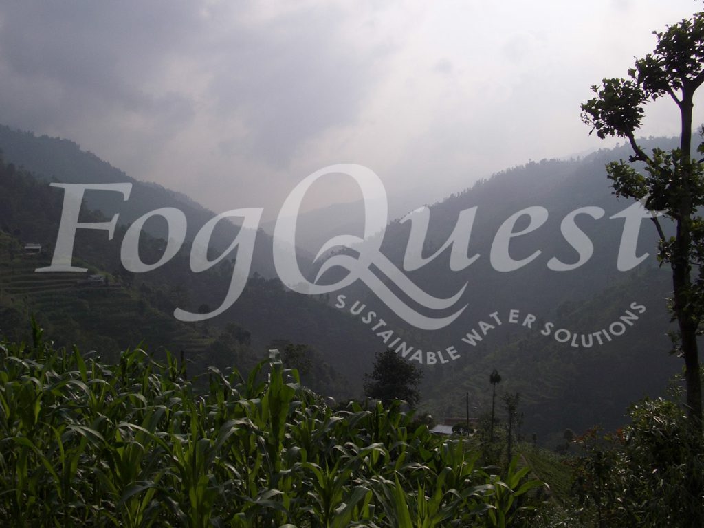 FogQuest image 006