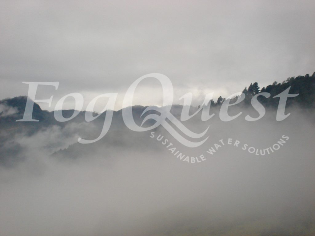 FogQuest image 038