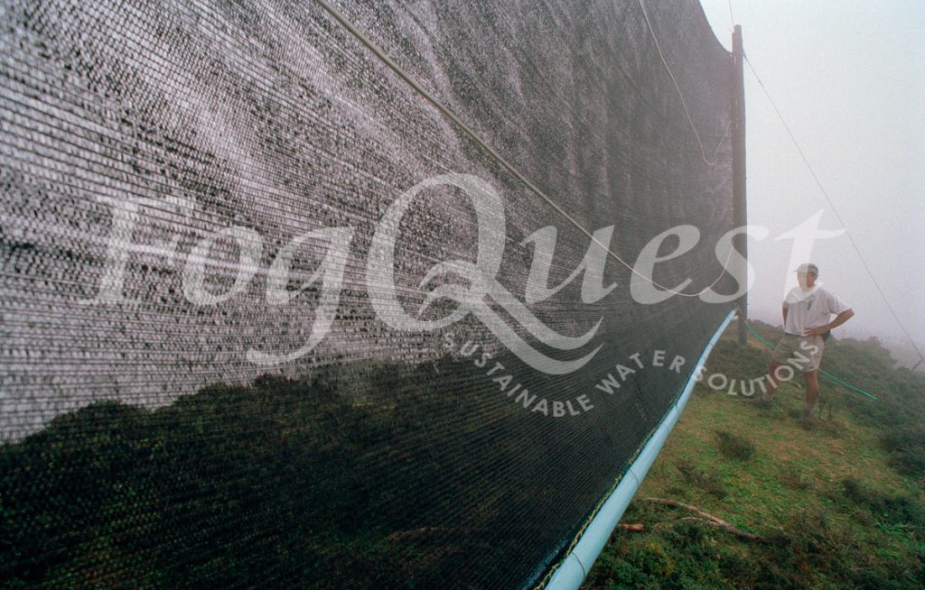 FogQuest image 039