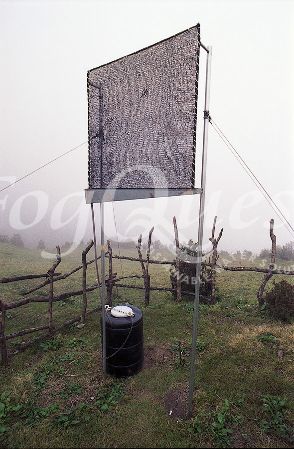 FogQuest image 030