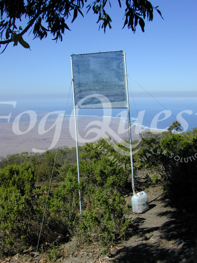 FogQuest image 031