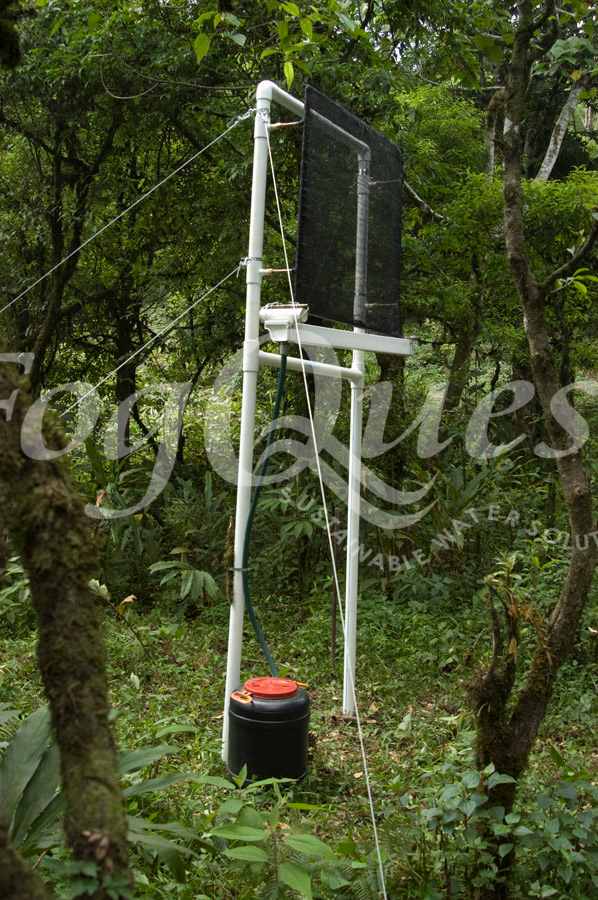 FogQuest image 032